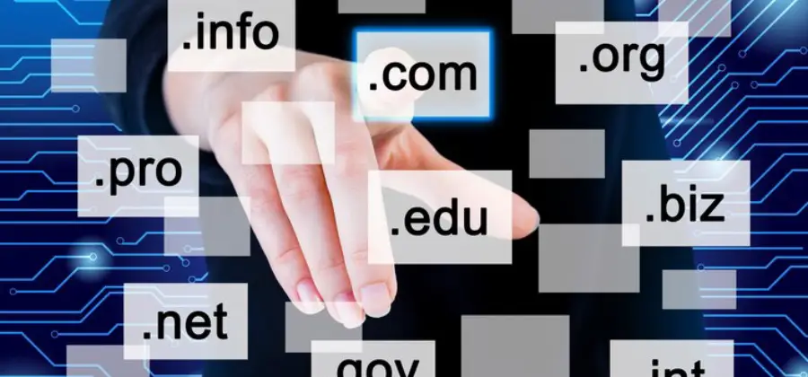 Domain Name and Hosting: The Foundation of Your Website Cost