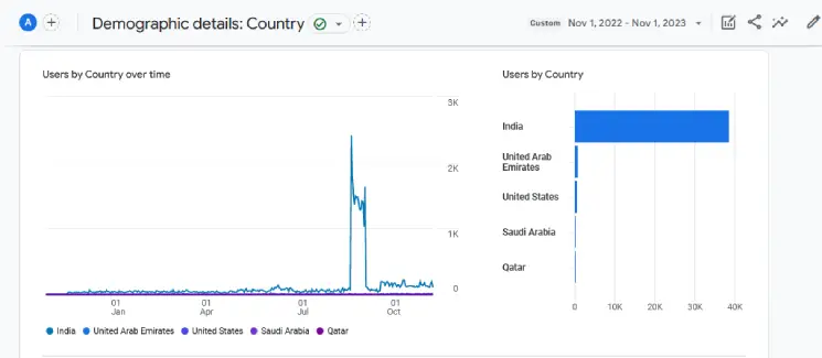 User demographics for the first year