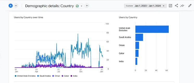 User demographics for the first year